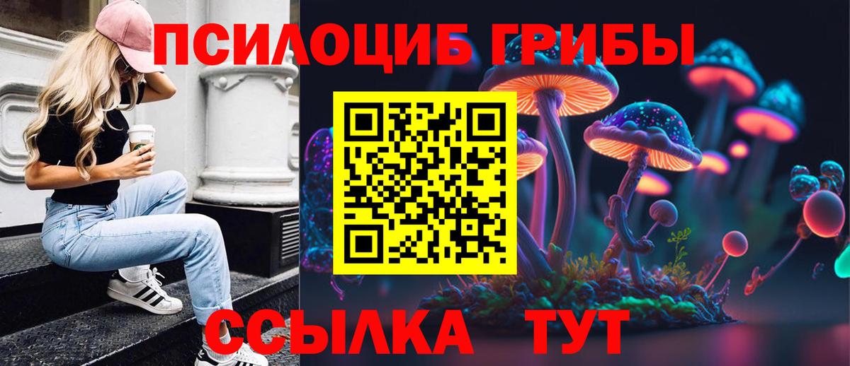 Галлюциногенные грибы Cubensis Нефтеюганск