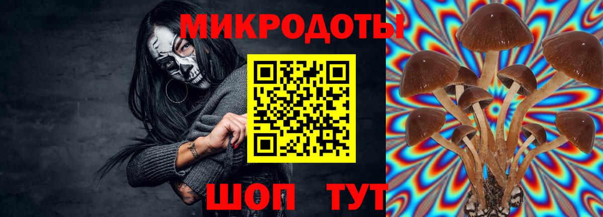 Псилоцибиновые грибы Psilocybe  Галлюциногенные грибы мицелий  Нефтеюганск  Вход с VPN 